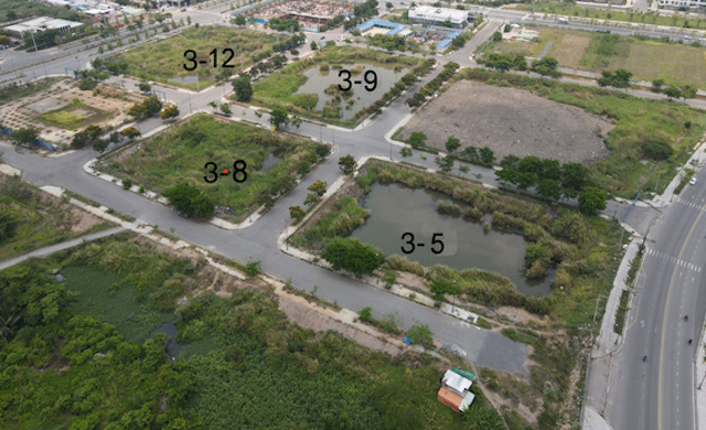 Vì sao hai doanh nghiệp trúng đấu giá đất Thủ Thiêm chậm nộp tiền thuế đất?
