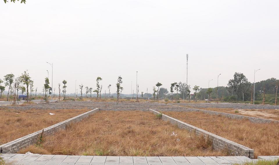 Hà Nội thanh tra, xử lý hoạt động đấu giá đất