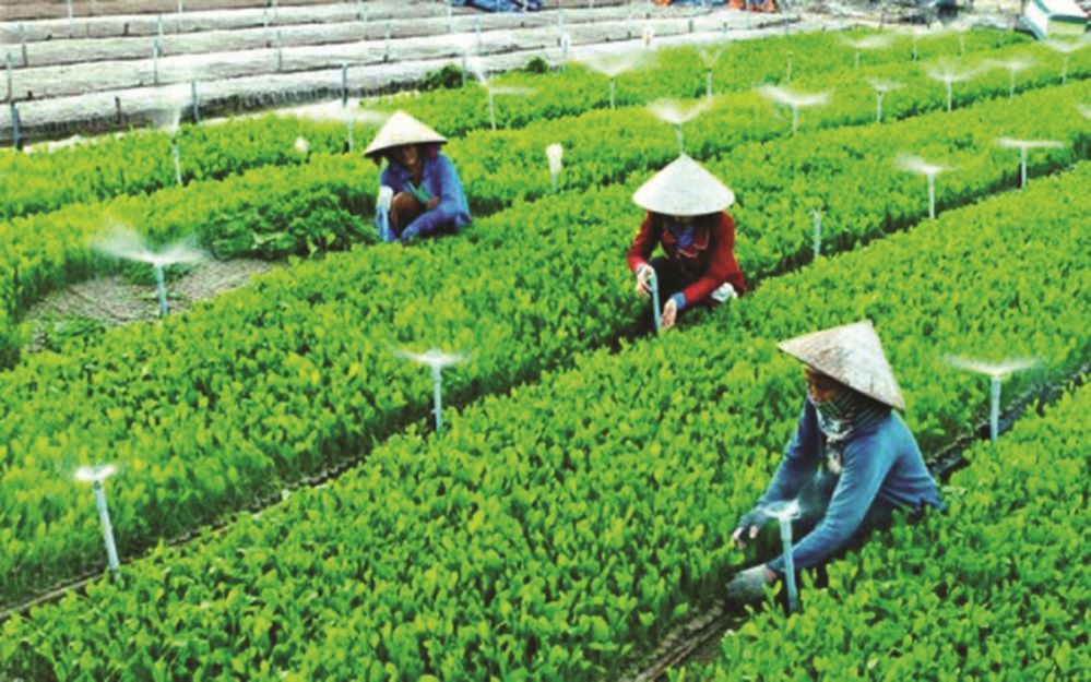 Nhiều điểm khác biệt tại Hội nghị Thủ tướng Chính phủ đối thoại với nông dân lần thứ 4
