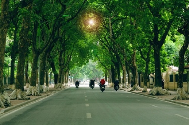 HTX chung tay hành động vì thủ đô xanh, sạch, đẹp