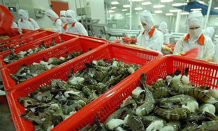 Australia đứng thứ 6 về nhập khẩu tôm của Việt Nam