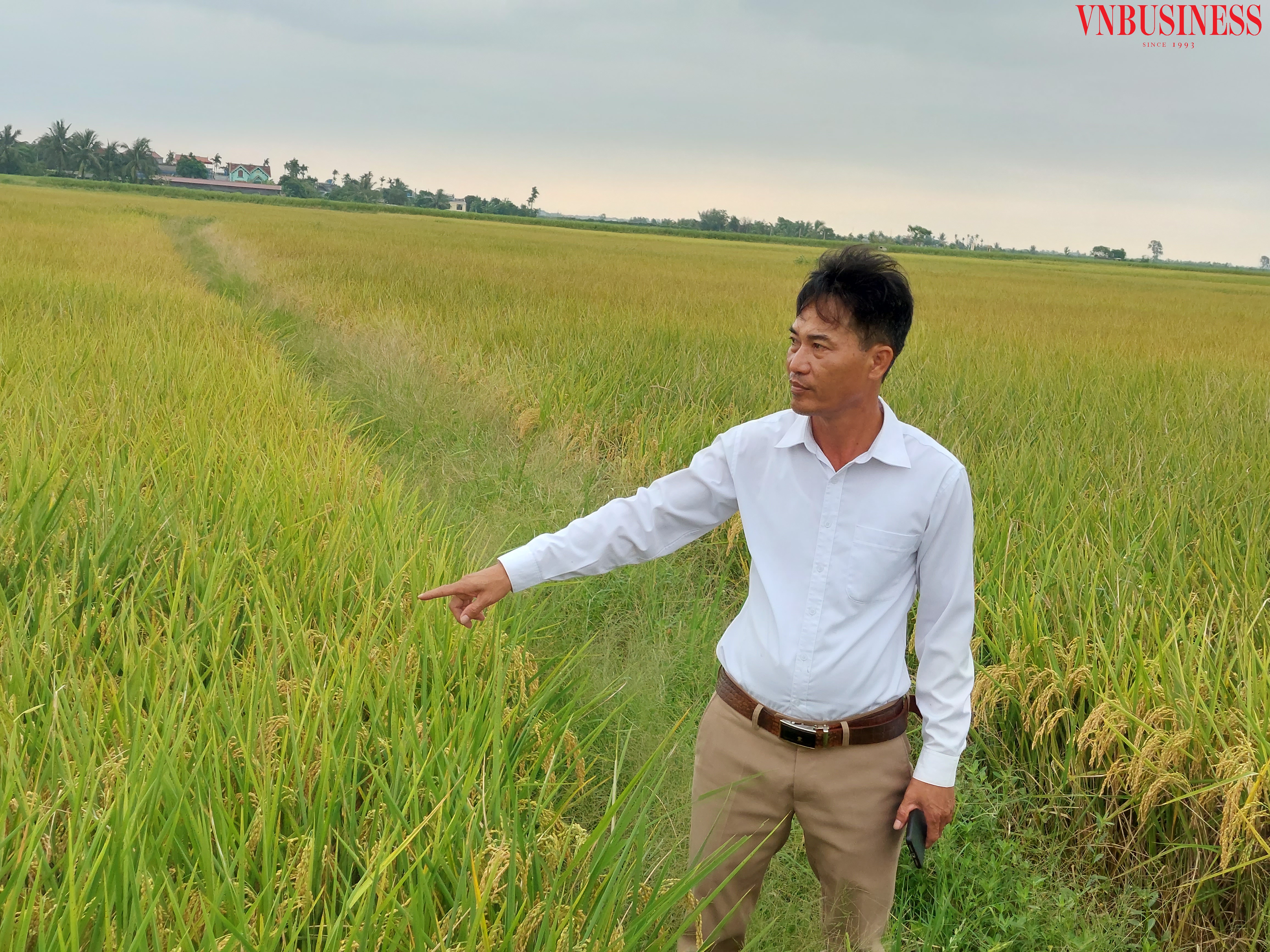 HTX thành công nhờ áp dụng tiến bộ khoa học kỹ thuật