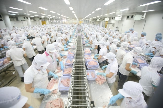 Giải mã đà tăng của nhóm cổ phiếu thủy sản