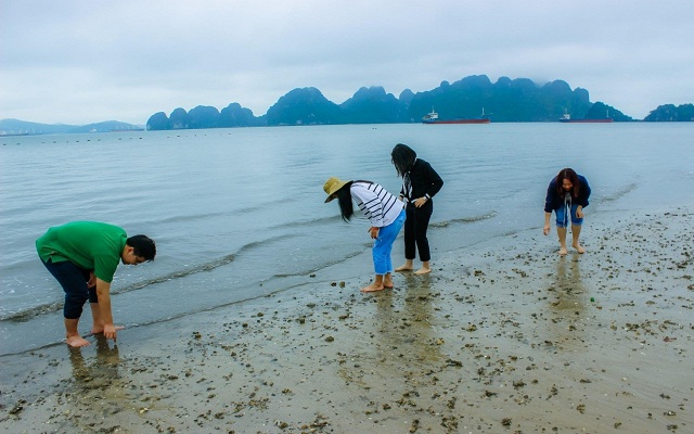 HTX đồng hành bảo vệ môi trường biển