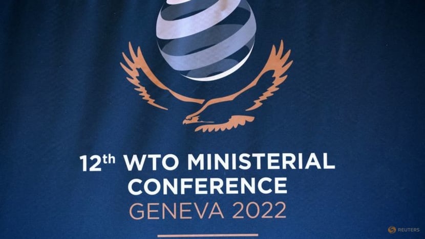 WTO-jpeg-1287-1655167914.jpg