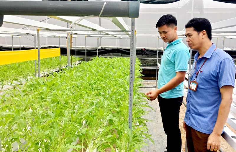Ban hành Nghị quyết về tiếp tục đổi mới, phát triển và nâng cao hiệu quả kinh tế tập thể trong giai đoạn mới