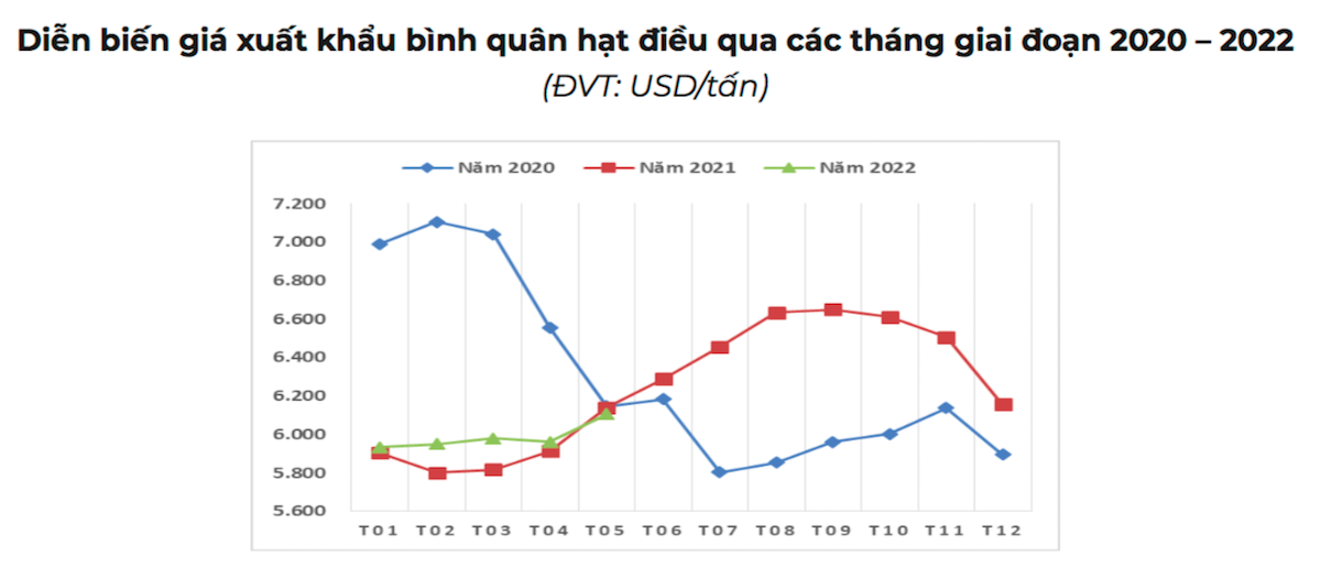 Giá xuất khẩu hạt điều tháng 5 đạt mức cao nhất kể từ đầu năm nay