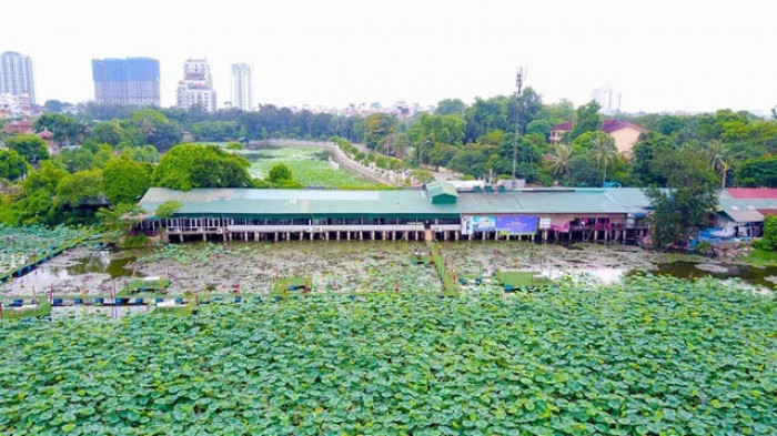 Những 'lá phổi xanh' của thủ đô biến dạng trước cơn lốc bê tông hóa