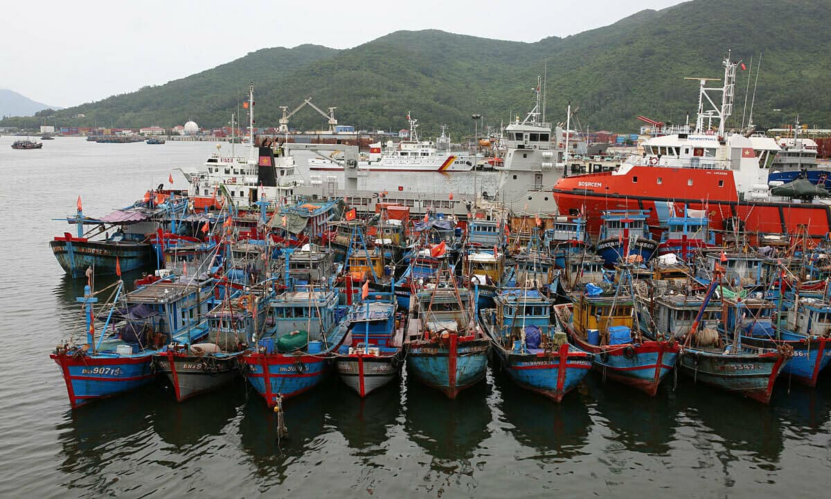 50% tàu cá 'nằm bờ' vì giá xăng dầu cao kỷ lục, Thủ tướng chỉ đạo nghiên cứu hỗ trợ