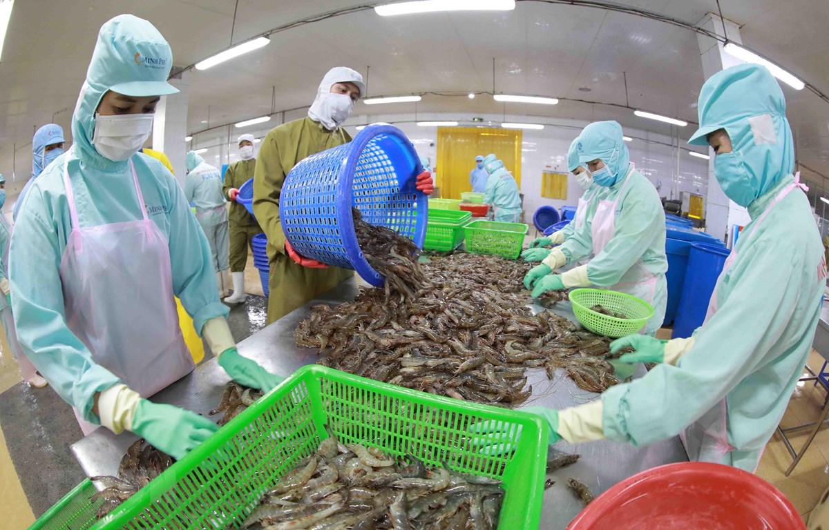 Thế giới tăng nhập tôm, cá tra..., xuất khẩu thủy sản dự báo đạt 9 tỷ USD năm 2022