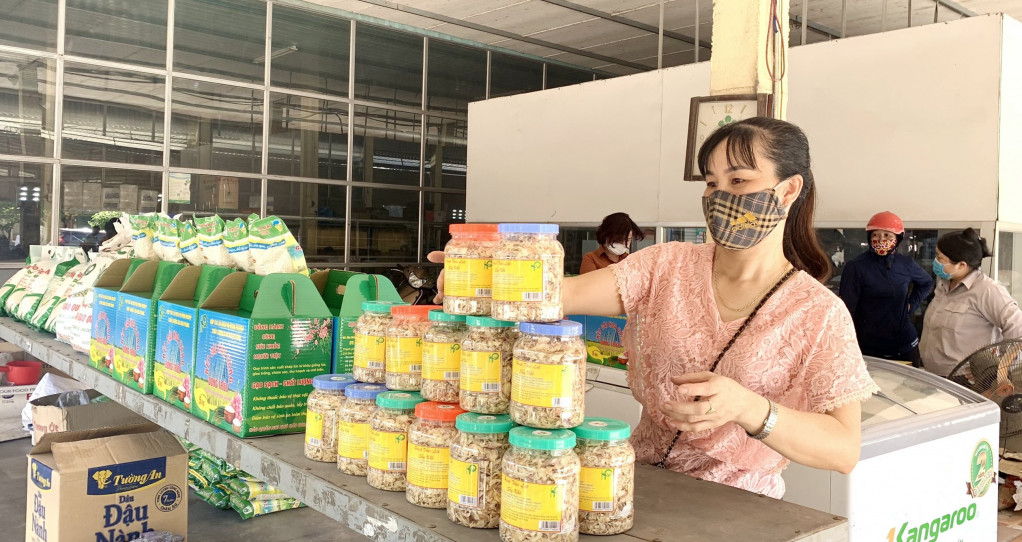 Tăng diện bao phủ bảo hiểm xã hội trong khu vực kinh tế tập thể, HTX