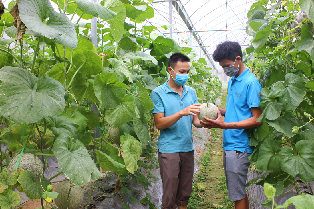 Cấp thiết giải cơn khát vốn cho hợp tác xã