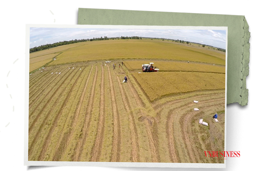 Ven biển Gò Công ứng dụng công nghệ cao sản xuất lúa gạo thích ứng biến đổi  khí hậu  Cổng Thông tin điện tử tỉnh Tiền Giang