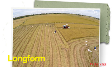 'Thời điểm vàng' để thay đổi tư duy sản xuất lúa trong cơn bão giá