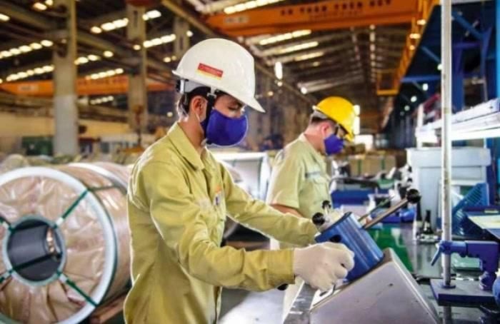 Cổ phiếu HSG vẫn 'tím' sau tin lợi nhuận giảm 84%