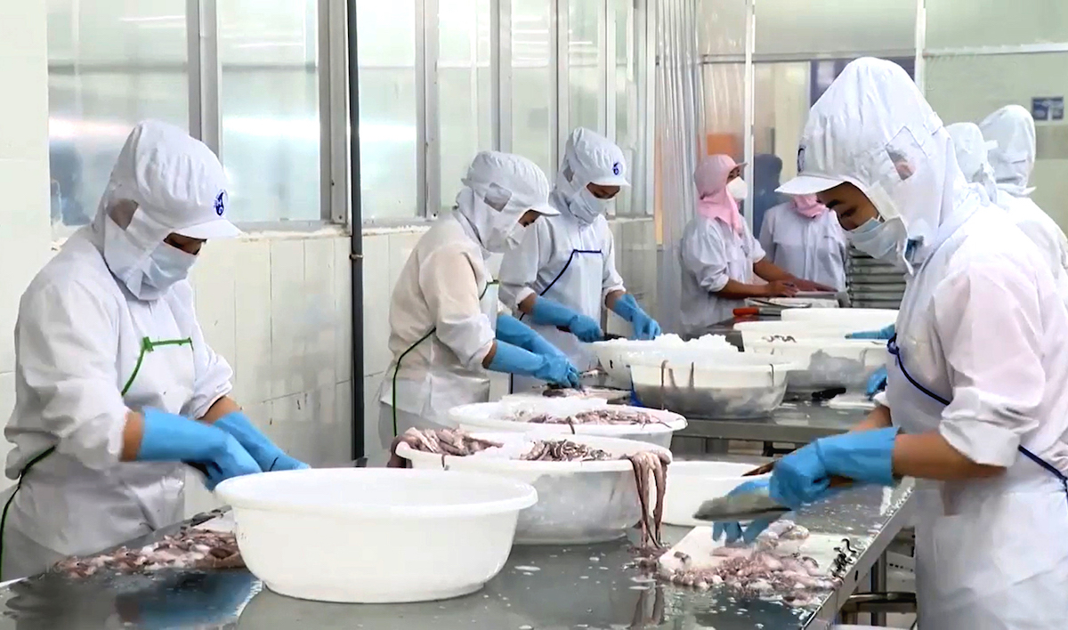 Nhập khẩu nguyên liệu thủy sản để gia công xuất khẩu được miễn kiểm dịch