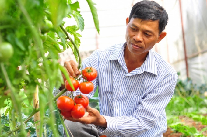 Gói hỗ trợ lãi suất 2%: Ngân hàng có nên thay đổi 'khẩu vị rủi ro' với HTX?