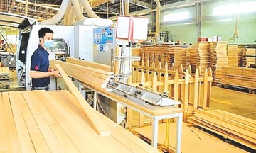 Cảnh báo rủi ro mà các doanh nghiệp gỗ Việt Nam gặp phải khi tiếp cận thị trường Trung Quốc
