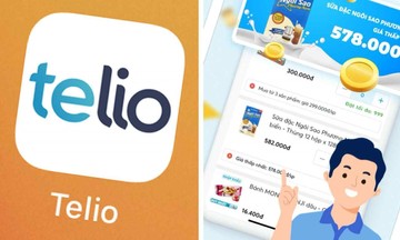Startup thương mại điện tử B2B Telio dự kiến huy động được 60 triệu đô la