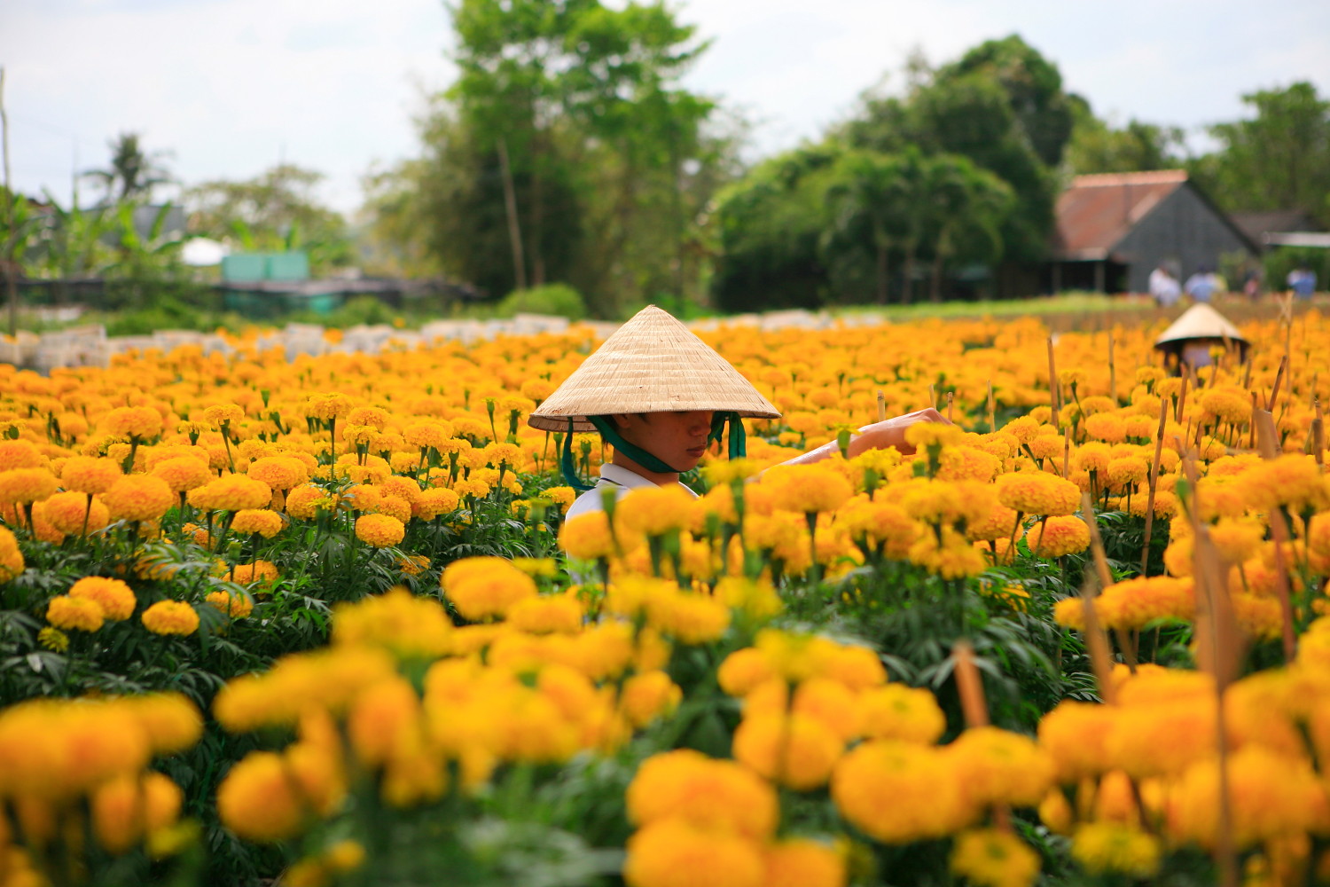 HTX cần thay đổi tư duy trong huy động vốn