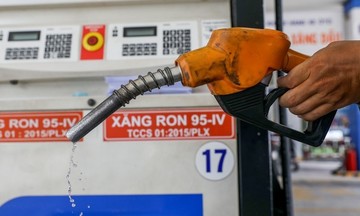 7 doanh nghiệp xăng dầu đầu mối bị tước giấy phép kinh doanh
