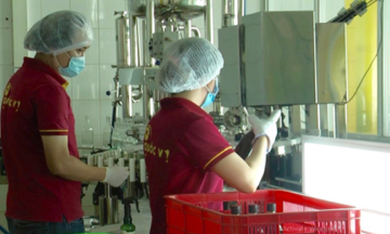Doanh nghiệp nước mắm Phú Quốc thực hiện dán tem truy xuất nguồn gốc sản phẩm