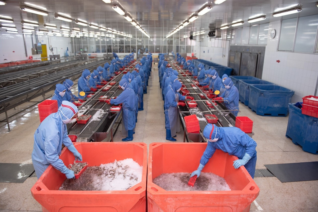 Không để dòng tiền của doanh nghiệp chế biến rơi vào ngõ cụt