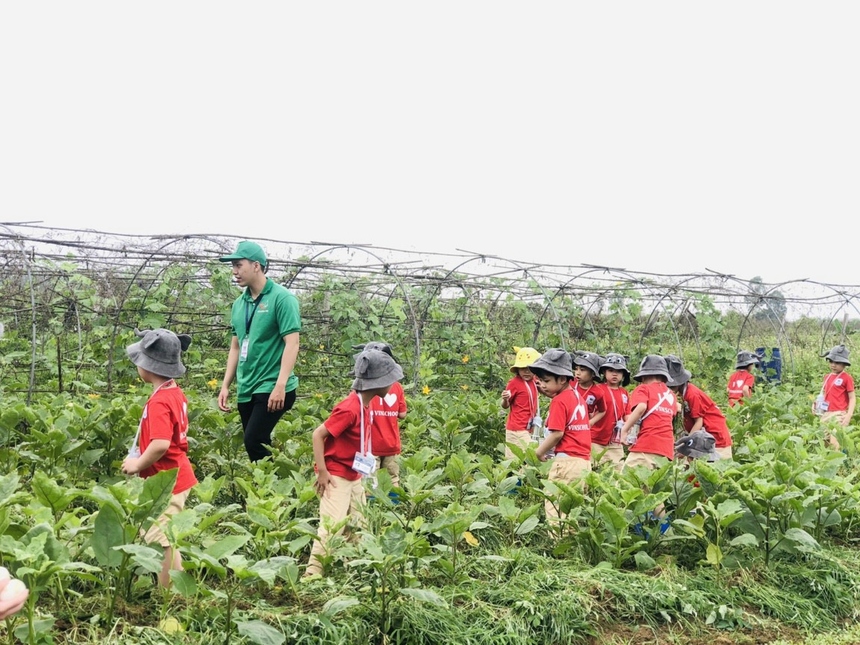 Mua Nhà đồ chơi gỗ nông trại vui vẻ mô hình lắp ghép giáo dục tư duy thông  minh kích thích trí tưởng tượng cho bé NDCNTVV10  Tiki