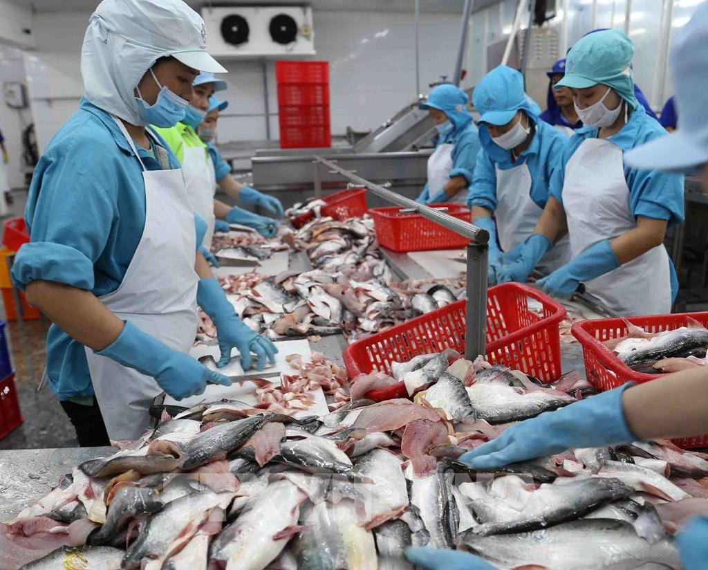 Kiểm tra SARS-CoV-2 không đạt, một DN thủy sản Việt Nam bị Trung Quốc đình chỉ xuất khẩu