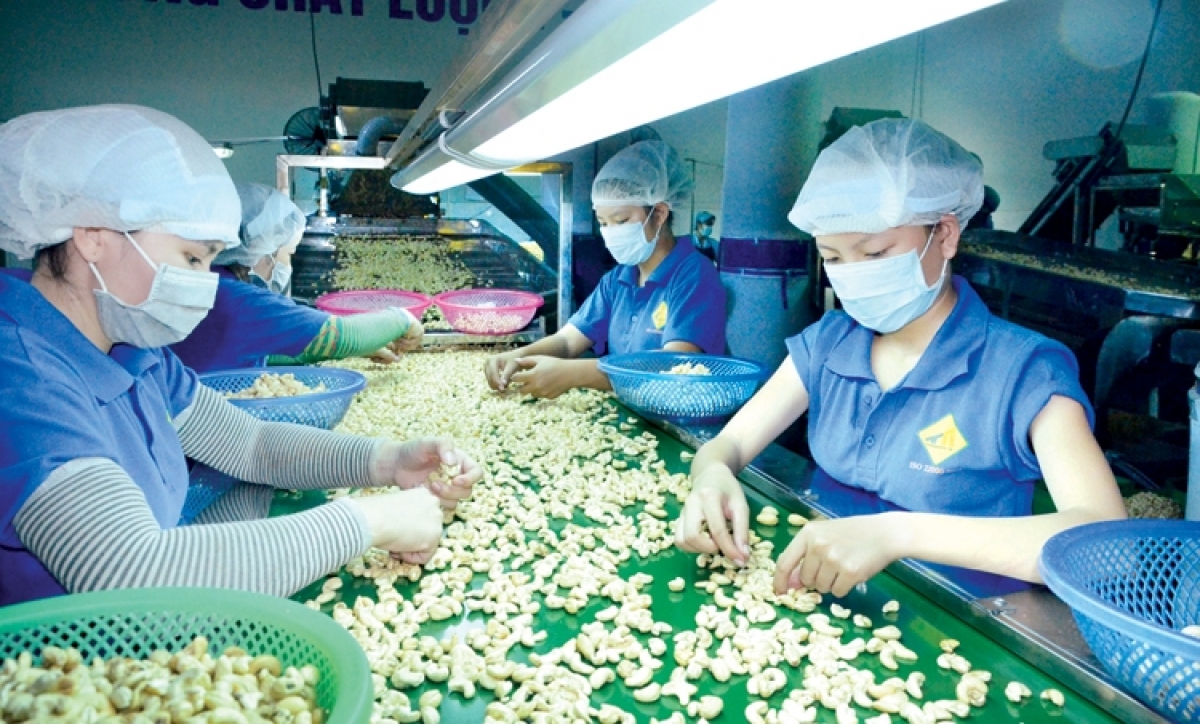 'Bẫy' lừa đảo thương mại quốc tế rất tinh vi, doanh nghiệp Việt cần thận trọng
