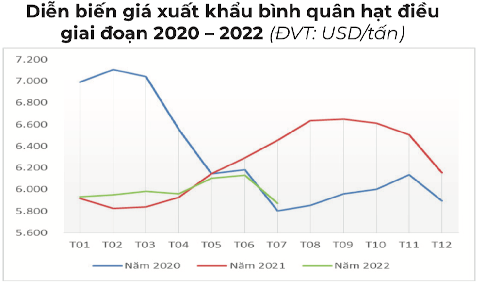Xuất khẩu điều khó đạt 3,2 tỷ USD trong năm nay