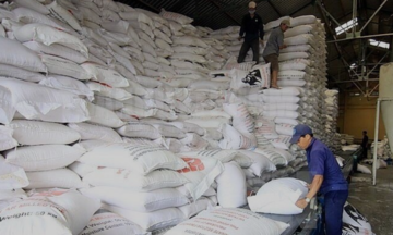 Xuất khẩu gạo Việt Nam tăng lên 6,3-6,5 triệu tấn trong năm 2022