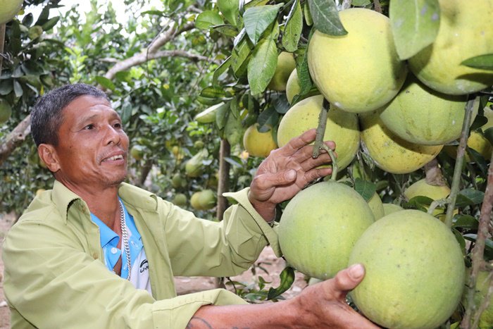 Rộng cánh cửa cho nông sản chủ lực