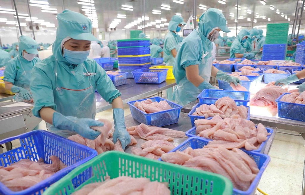 ‘Biến nguy thành cơ’ như xuất khẩu cá tra