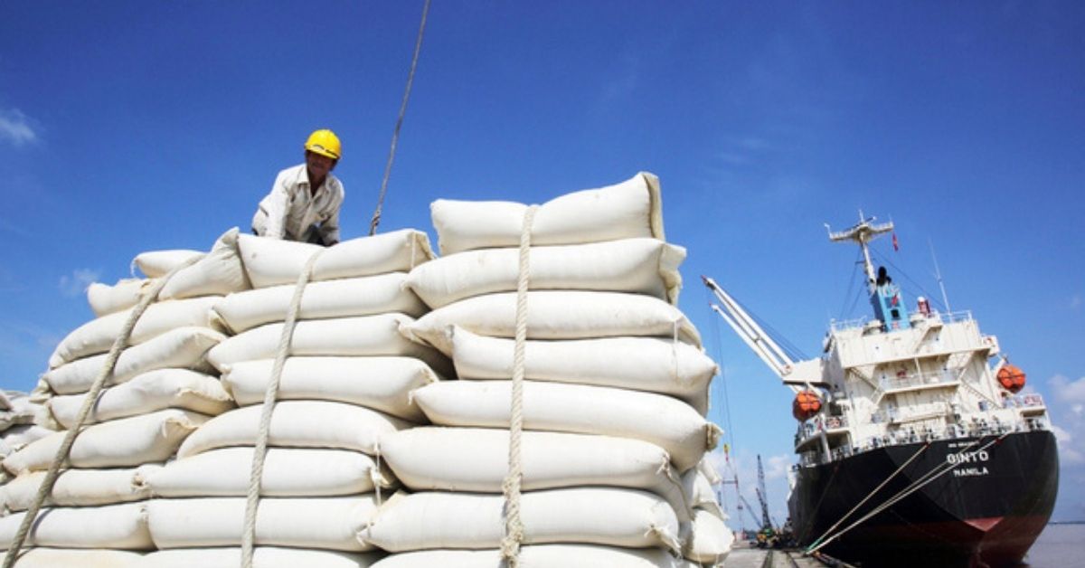 Ấn Độ hạn chế xuất khẩu gạo do giá tăng làm tê liệt thương mại châu Á