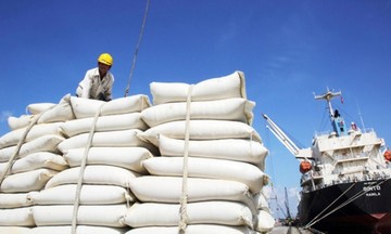 Ấn Độ hạn chế xuất khẩu gạo do giá tăng làm tê liệt thương mại châu Á