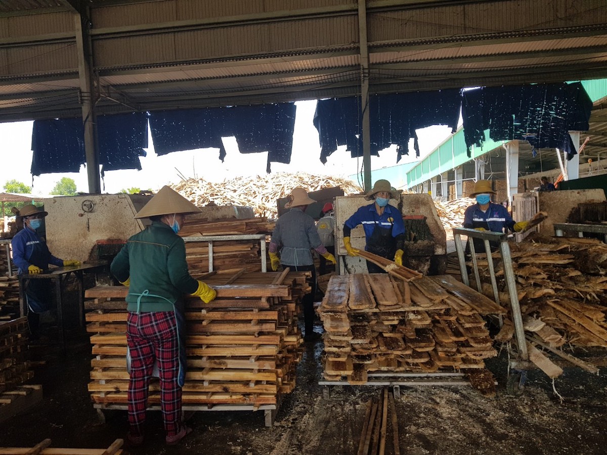 Doanh nghiệp xuất khẩu gỗ vướng mắc chứng minh nguồn gốc gỗ rừng trồng