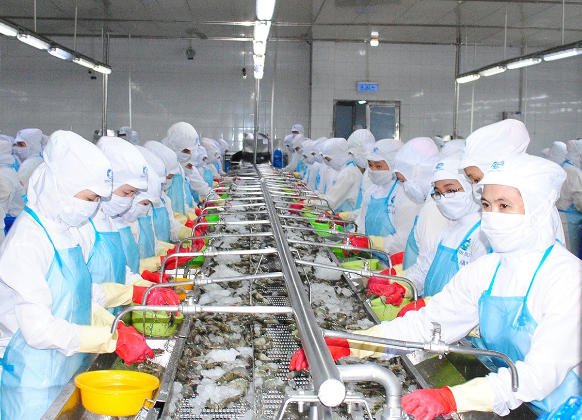 8 tháng, XK tôm sang Australia đạt 169 triệu USD, tăng 52% so với cùng kỳ
