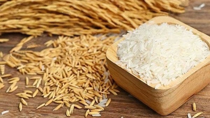 Chờ ‘sóng’ lớn từ cổ phiếu ngành gạo