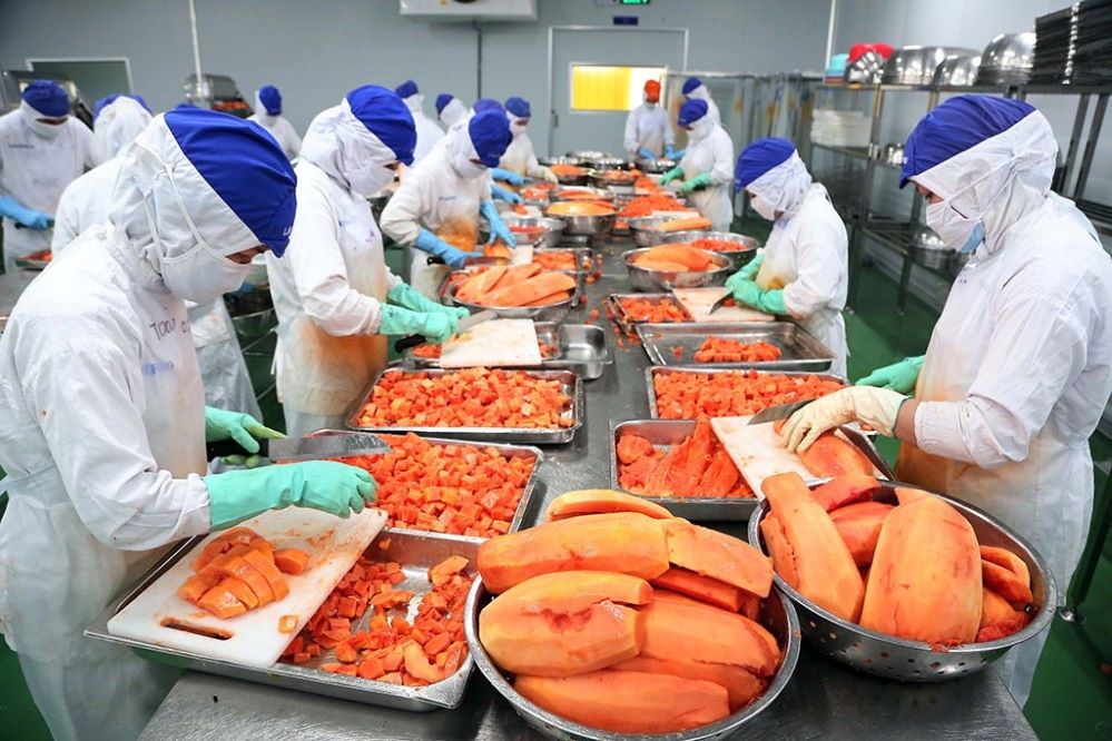 Nguồn cung thực phẩm chế biến của Hà Nội mới đáp ứng được gần 20% nhu cầu tiêu dùng