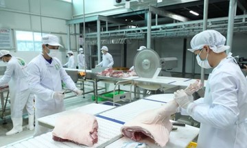 Hà Nội phối hợp với 43 tỉnh thành phát triển 926 chuỗi cung ứng thực phẩm an toàn cho người dân