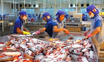 Kim ngạch xuất khẩu cá tra sang thị trường Mỹ tăng gần 90%