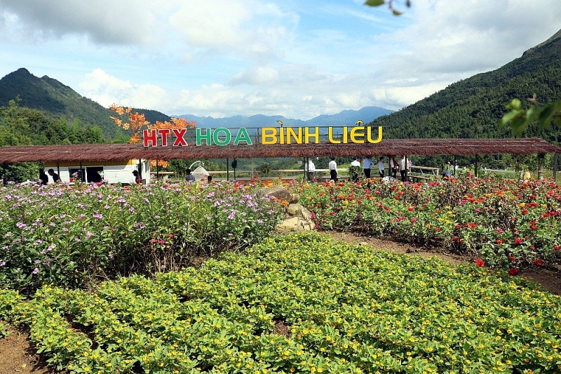 Lấy kinh tế HTX làm nòng cốt xây dựng nông thôn mới