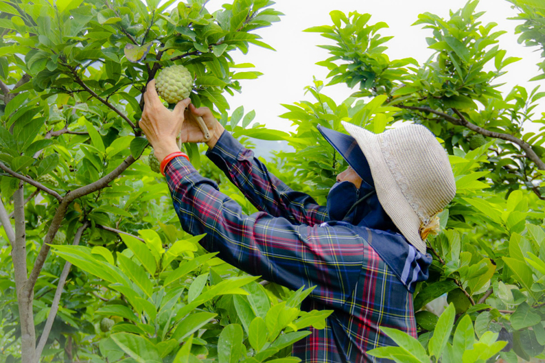 Kinh tế khá lên từ phong trào xây dựng nông thôn mới