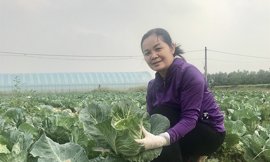 Yên Dũng phát triển mô hình sản xuất nông nghiệp theo chuỗi giá trị  Chi  tiết tin tức  Chuyên trang An toàn giao thông tỉnh Bắc Giang