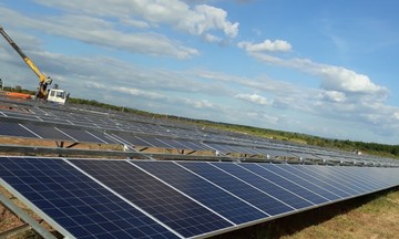 Bộ Công Thương nói về 'số phận' các dự án điện mặt trời được chấp thuận đầu tư