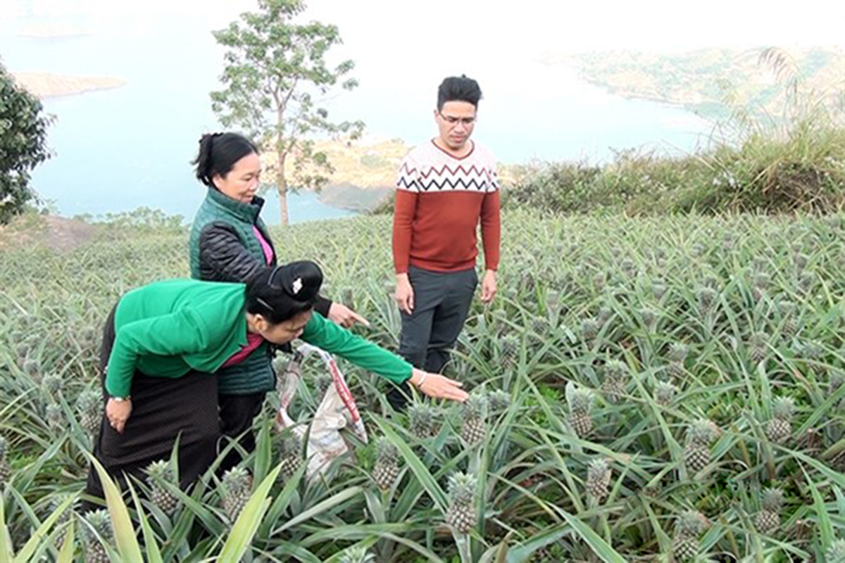 Tăng cường liên kết, nâng cao hiệu quả đào tạo nghề