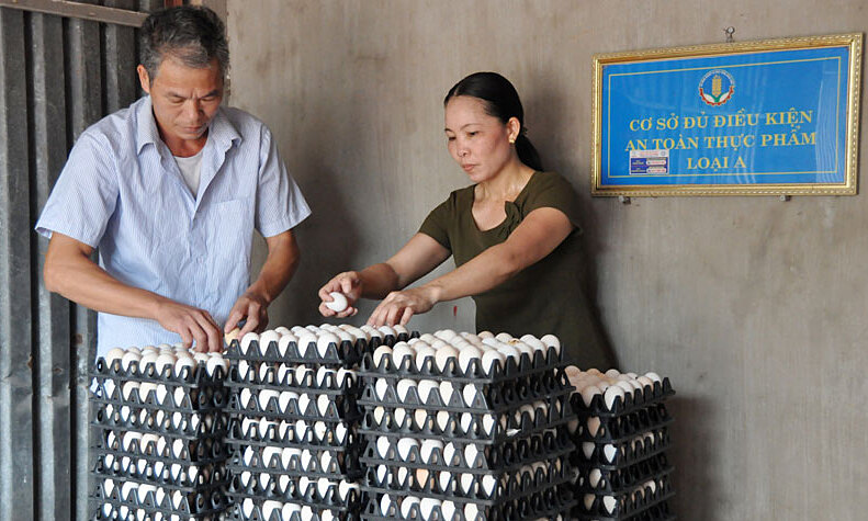 Sát cánh cùng KTTT, HTX để sớm hoàn thành NTM nâng cao