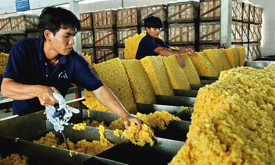 Xuất khẩu cao su 9 tháng đạt khoảng 1,41 triệu tấn, trị giá 2,32 tỷ USD