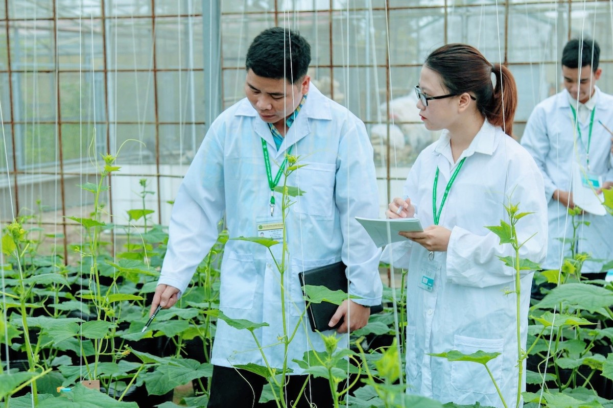 Khoa học công nghệ tạo sức bật mới cho nông nghiệp, nông thôn